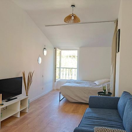 Cosy Studio - Heart Of Millau Buitenkant foto